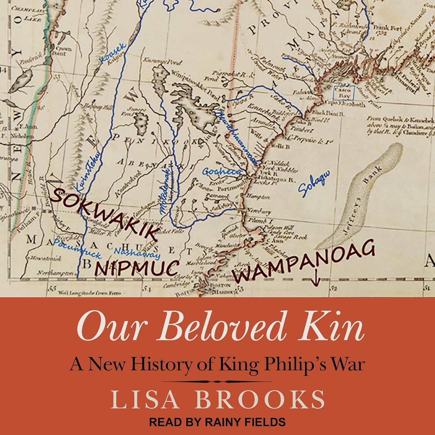 Our Beloved Kin: A New History of King Philip's War Review