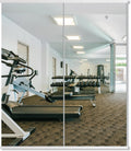 Delma Large Full Body Mirror for Yoga and Home Gym - Frameless 60in x