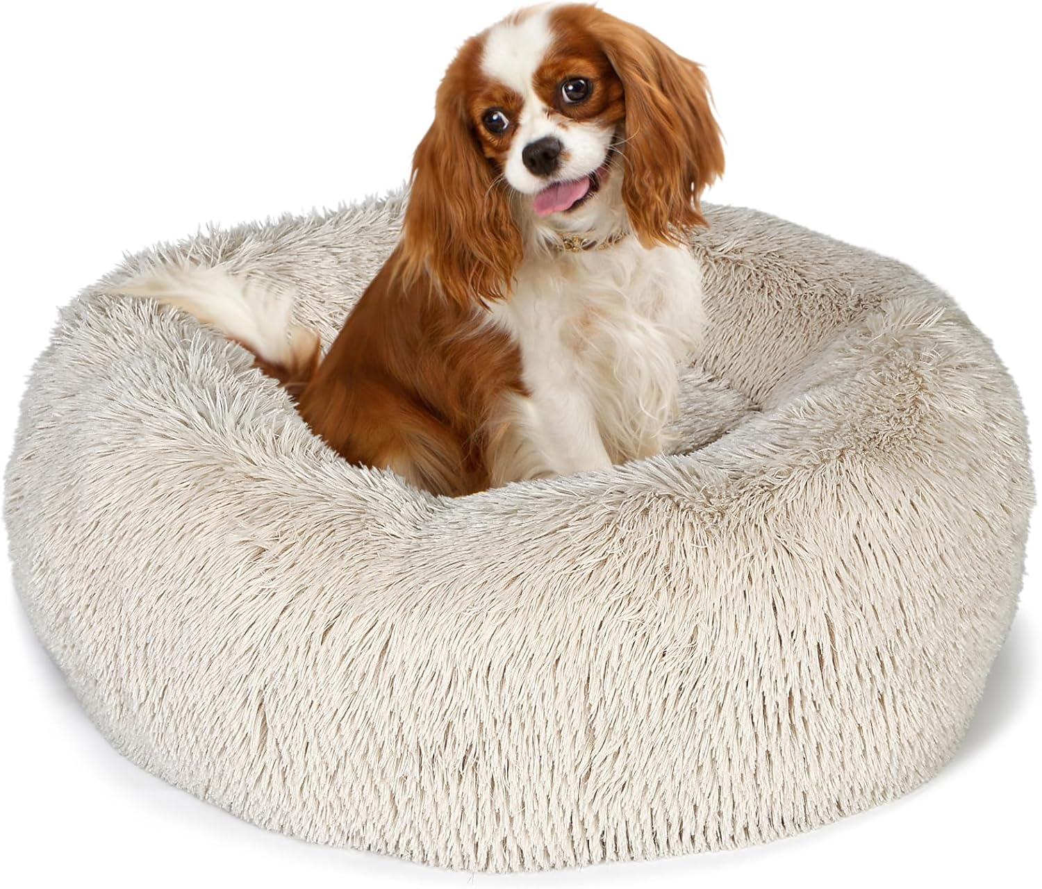 Calming Dog Bed for Small Medium Large Dogs - Cozy & Soft