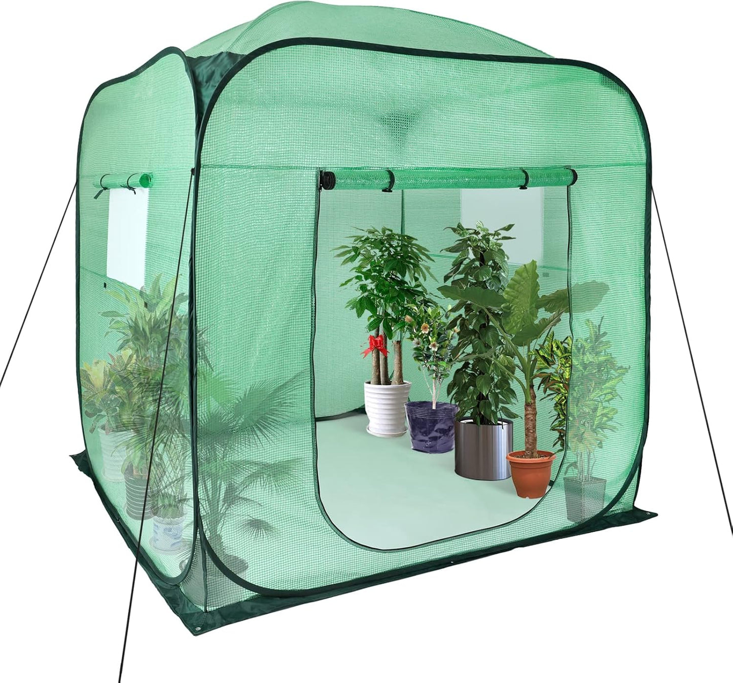 Upgraded Pop-Up Plant Greenhouse with Roll-Up Zipper Doors