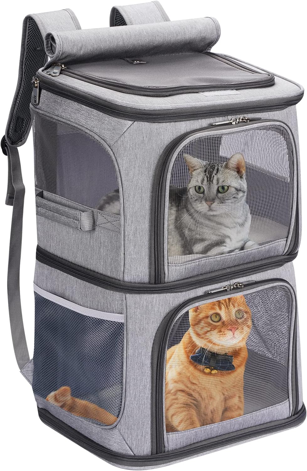 2-in-1 Double Pet Carrier Backpack for Small Cats and Dogs