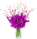 KaBloom Purple Orchid Bouquet of 20 Exotic Dendrobium Orchids