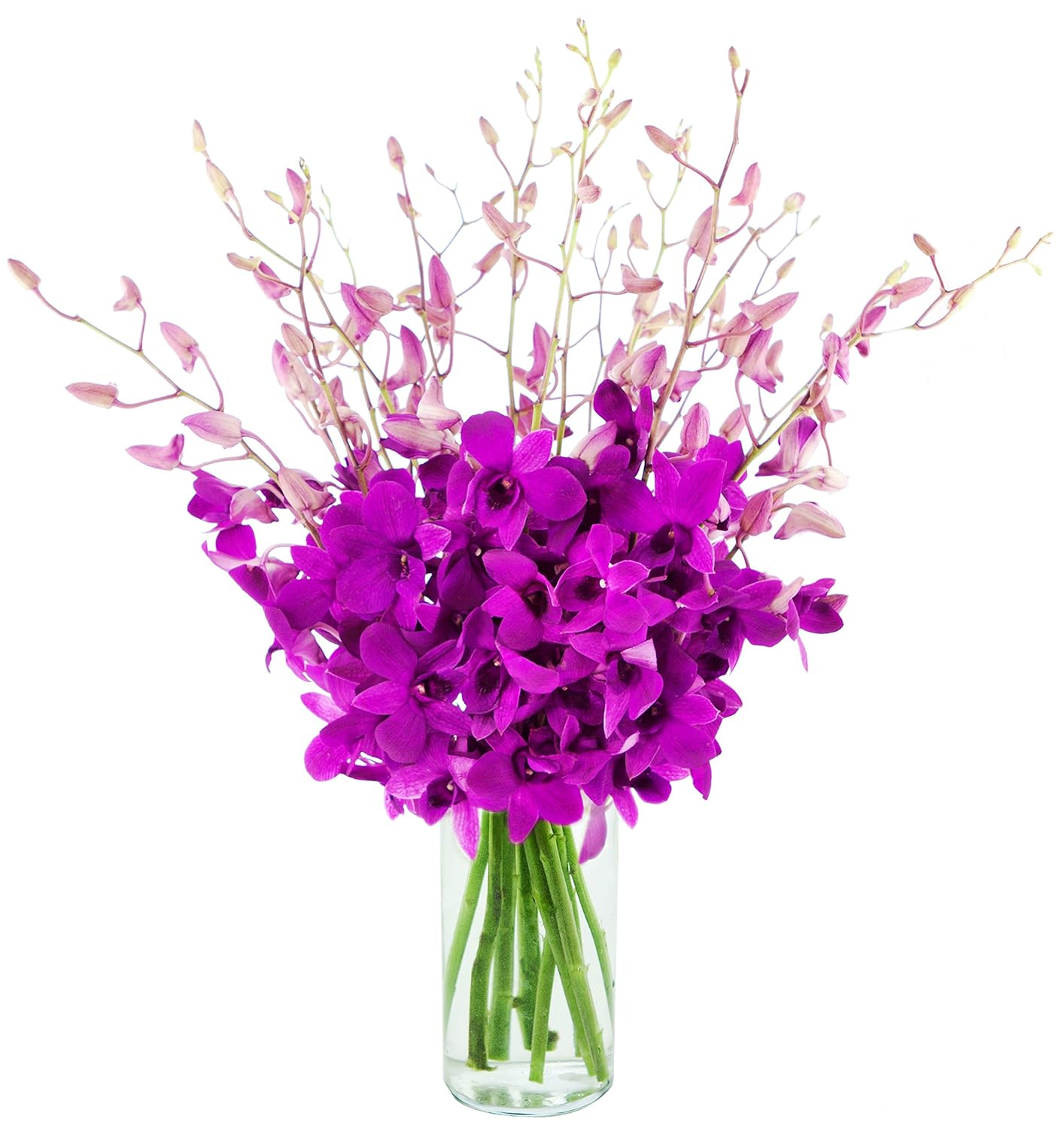 KaBloom Purple Orchid Bouquet of 20 Exotic Dendrobium Orchids
