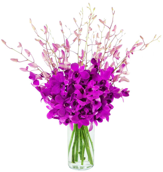 KaBloom Purple Orchid Bouquet of 20 Exotic Dendrobium Orchids