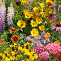Ferry-Morse Perennial Mix Bulk Wildflower Seeds 1lb - High Coverage