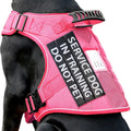Pink Service Dog in Training Vest Harness for Medium Large Dogs