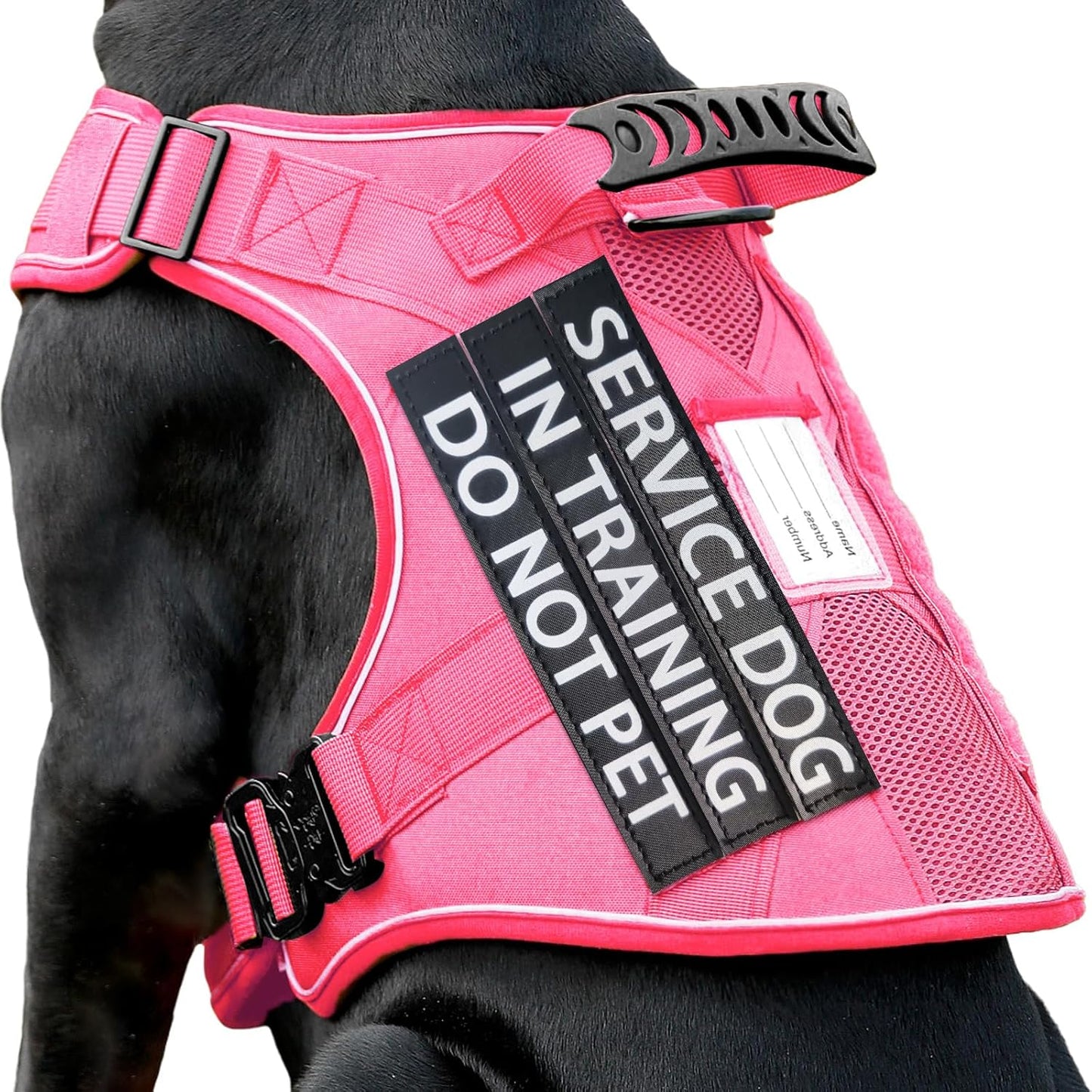 Pink Service Dog in Training Vest Harness for Medium Large Dogs