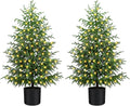 4FT Pre-Lit Norfolk Pine Christmas Tree - Ready-to-Display Accent