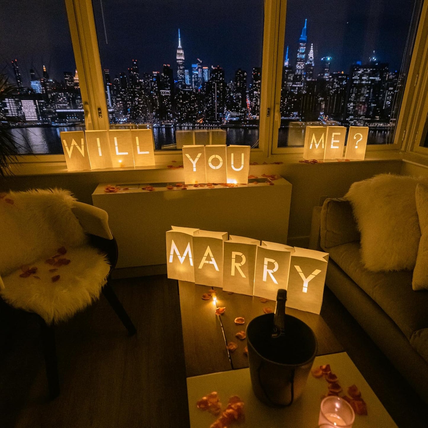 Luminary Paper Bags for Wedding Proposal Decorations with Lights
