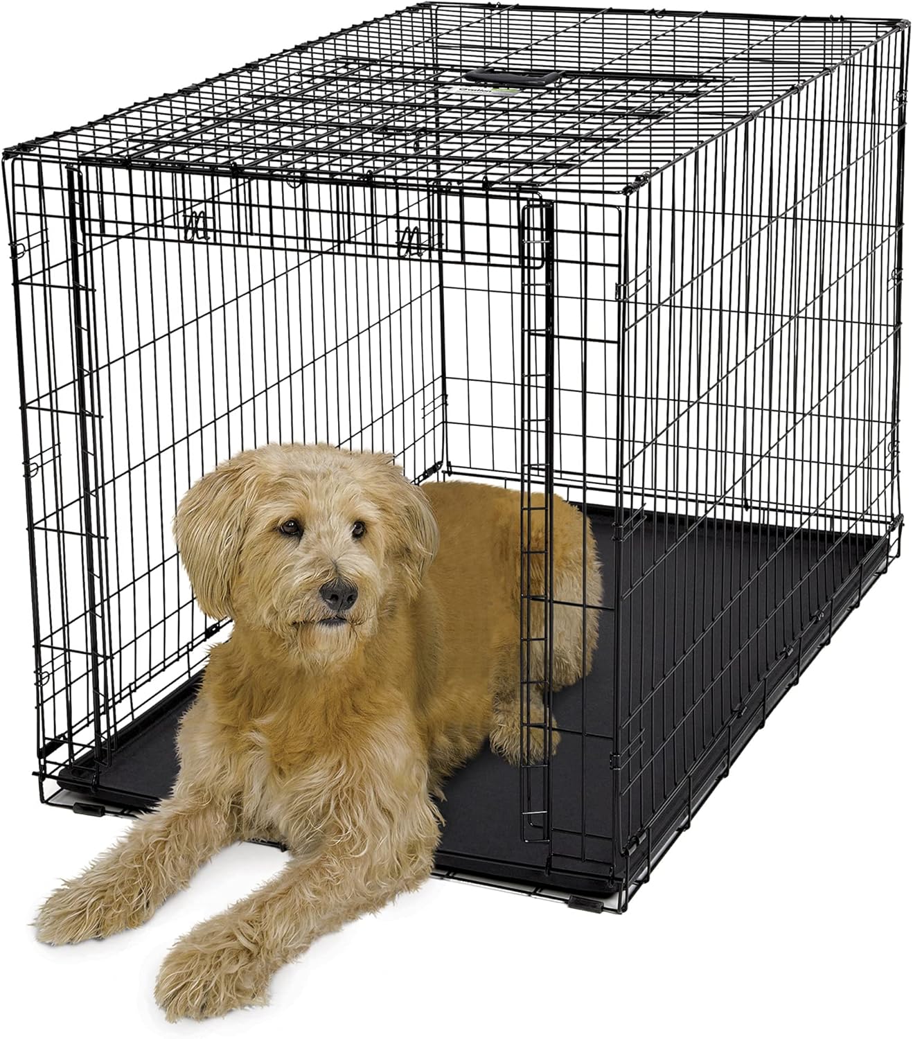 MidWest Homes for Pets XL Ovation Folding Dog Crate for Large Dogs