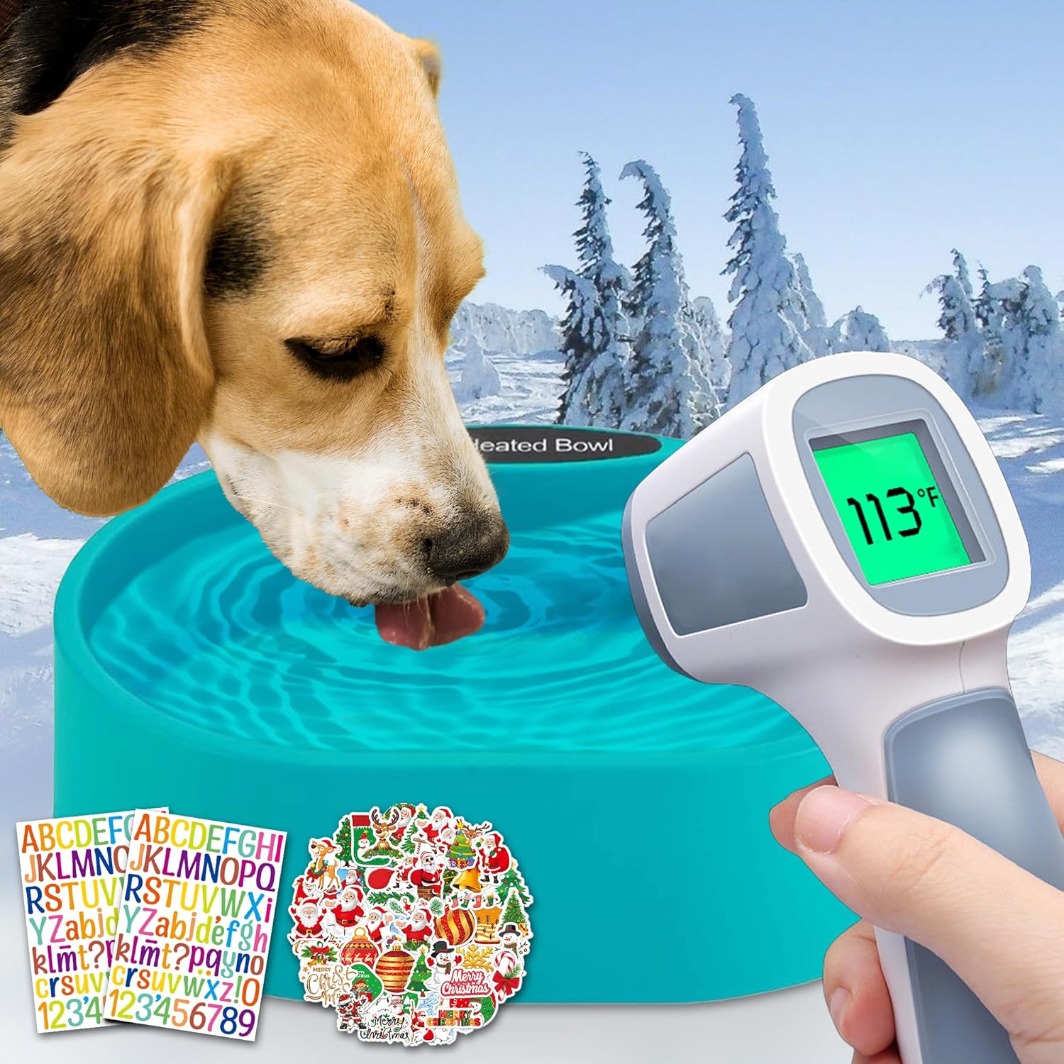 Thermostatic Heated Pet Bowl by SUPERPAWS
