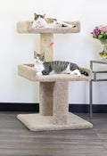 New Cat Condos Spacious Cat Perch for Large Cats - Stable, Roomy Perch