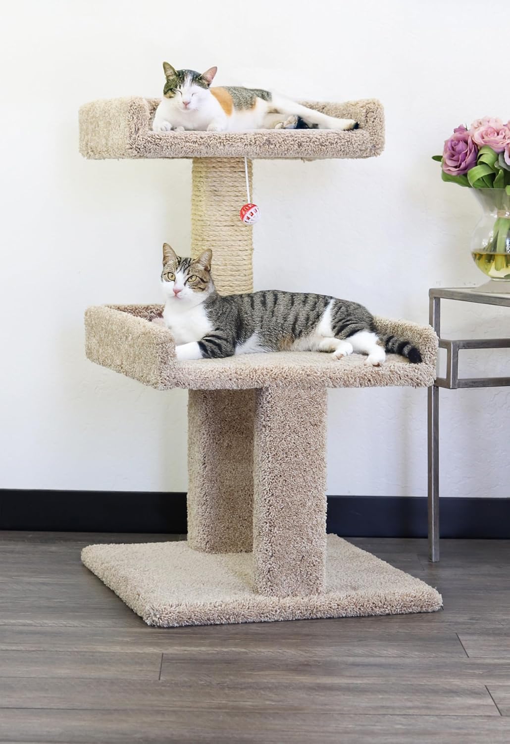 Spacious Cat Perch for Large Cats by New Cat Condos Review