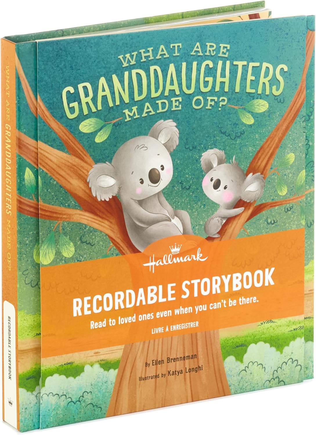 Hallmark Recordable Book for Children: A Magical Gift Experience