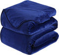 Soft King Size Blanket All Season Warm Fuzzy Microplush Lightweight
