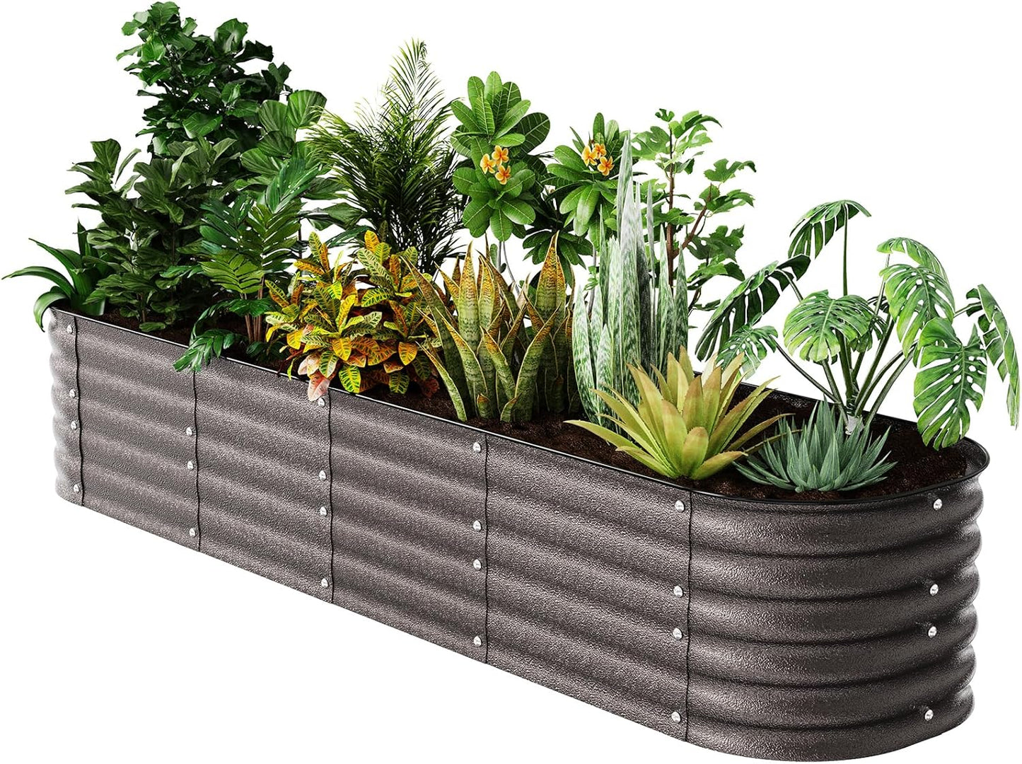 Raised Garden Bed Kit for Outdoor Plants and Vegetables