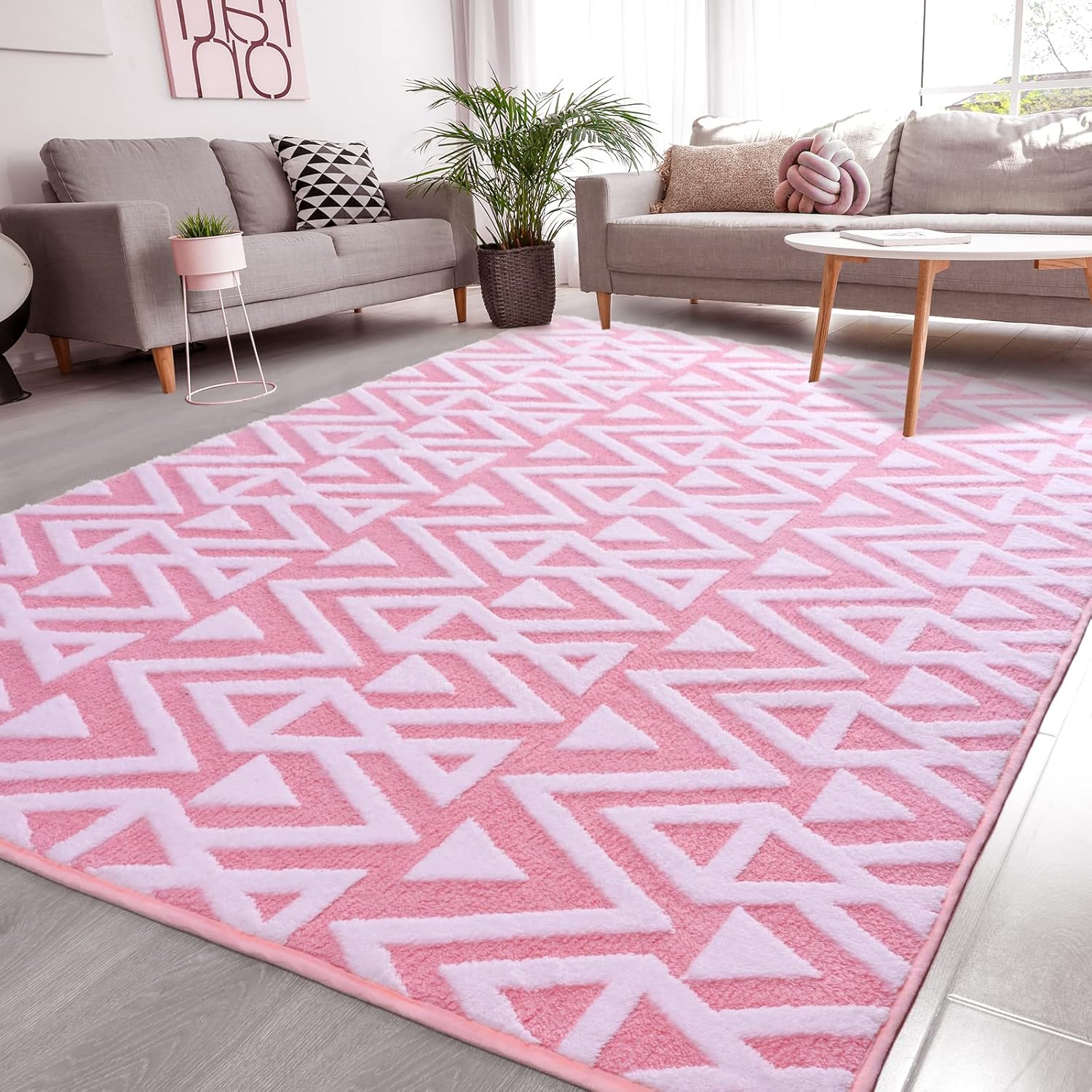 Ompaa Ultra Soft Shaggy Rugs for Bedroom and Living Room Decor
