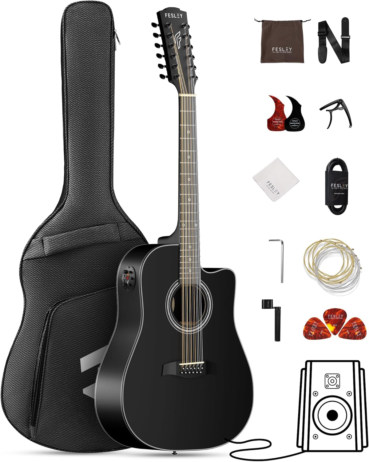 12 String Acoustic Electric Guitar with Built-In EQ for Beginners