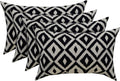 Decorative Rectangular Lumbar Throw Pillows Black White Aztec - Set