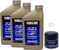 Edwards Full Synthetic Oil Change Kit for Yamaha Tenere 700 - Complete