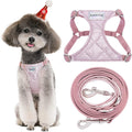 Puppytie Comfortable No Pull Harness for Small Dogs During Walks
