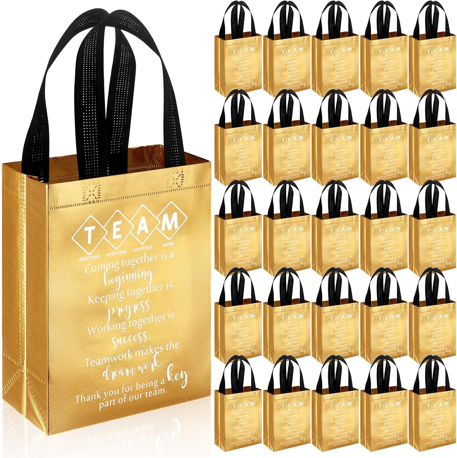 Reusable Team Appreciation Gift Bags for Boss and Employees
