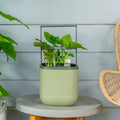 Mini Planter with Trellis and Self-Watering Reservoir - Sage Green