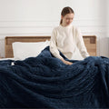 Electric Blanket Twin Heated Blanket 62in x 84in - Soft Striped