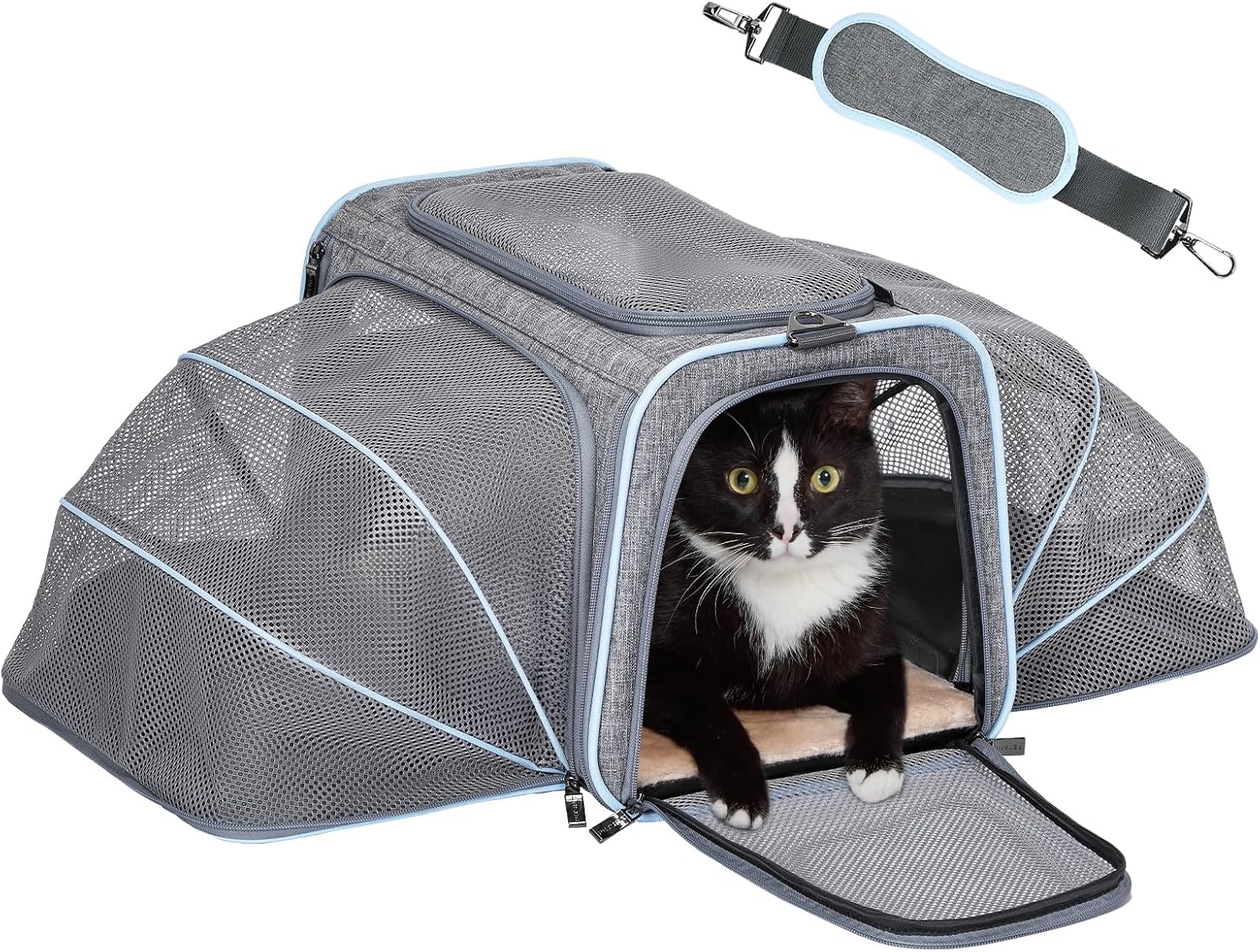 Expandable Large Cat Carrier for Small Dogs and Kittens