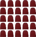 25 Pack Winter Beanie Hats Bulk for Men - Knit Cold Weather Skull Caps