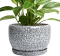 SQOWL 8 in Ceramic Plant Pot - Modern Black and White Planter