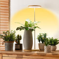 Plant Grow Light for Indoor Plant Bamboo Mini LED - Height Adjustable