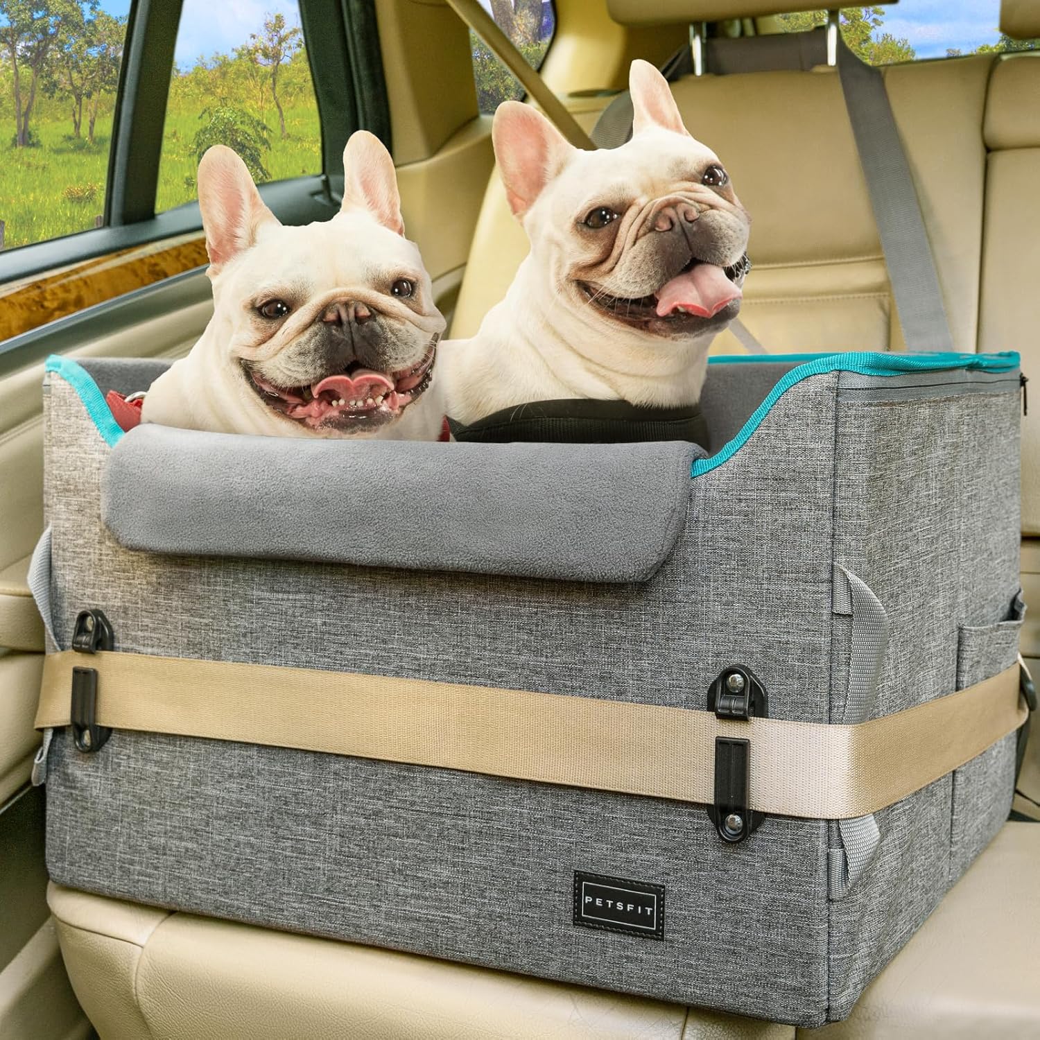 SAFETY FIRST: Petsfit Dog Car Seat for Medium Dogs