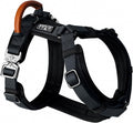 High-Quality Y-Dog Harness for All Breeds with Secure Fit