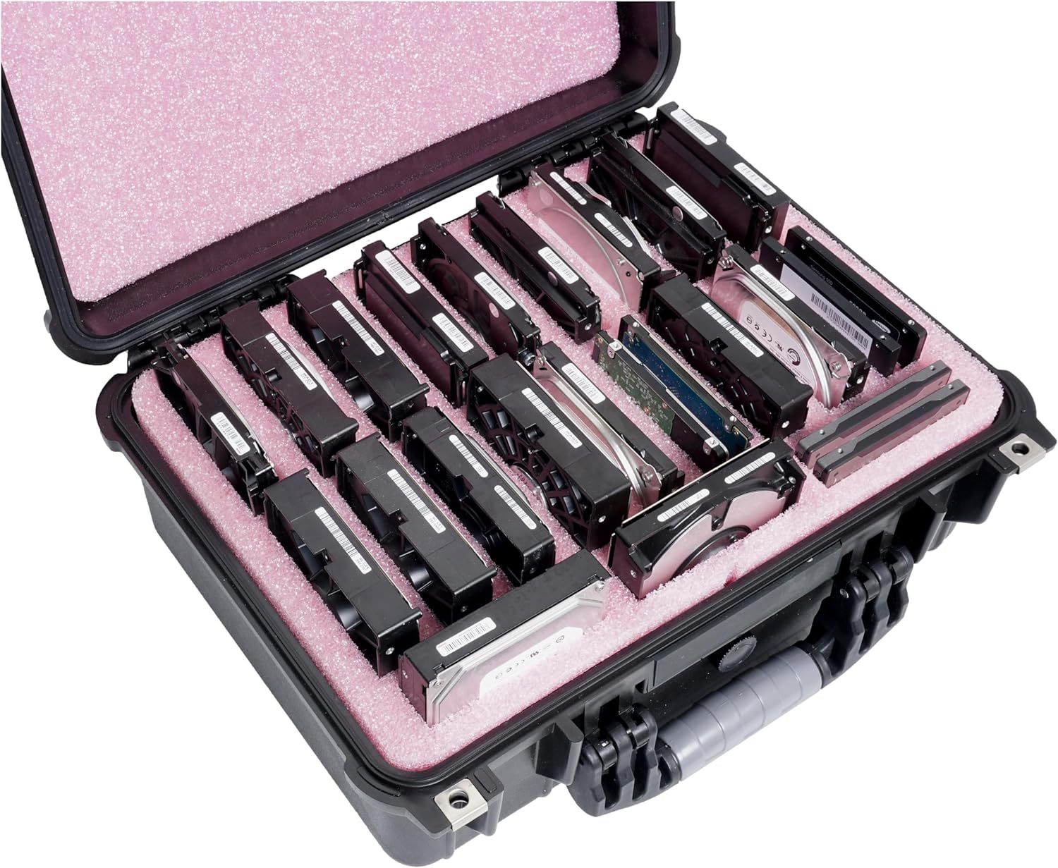 Case Club Anti-Static HDD & SSD Storage Case for Data Safety