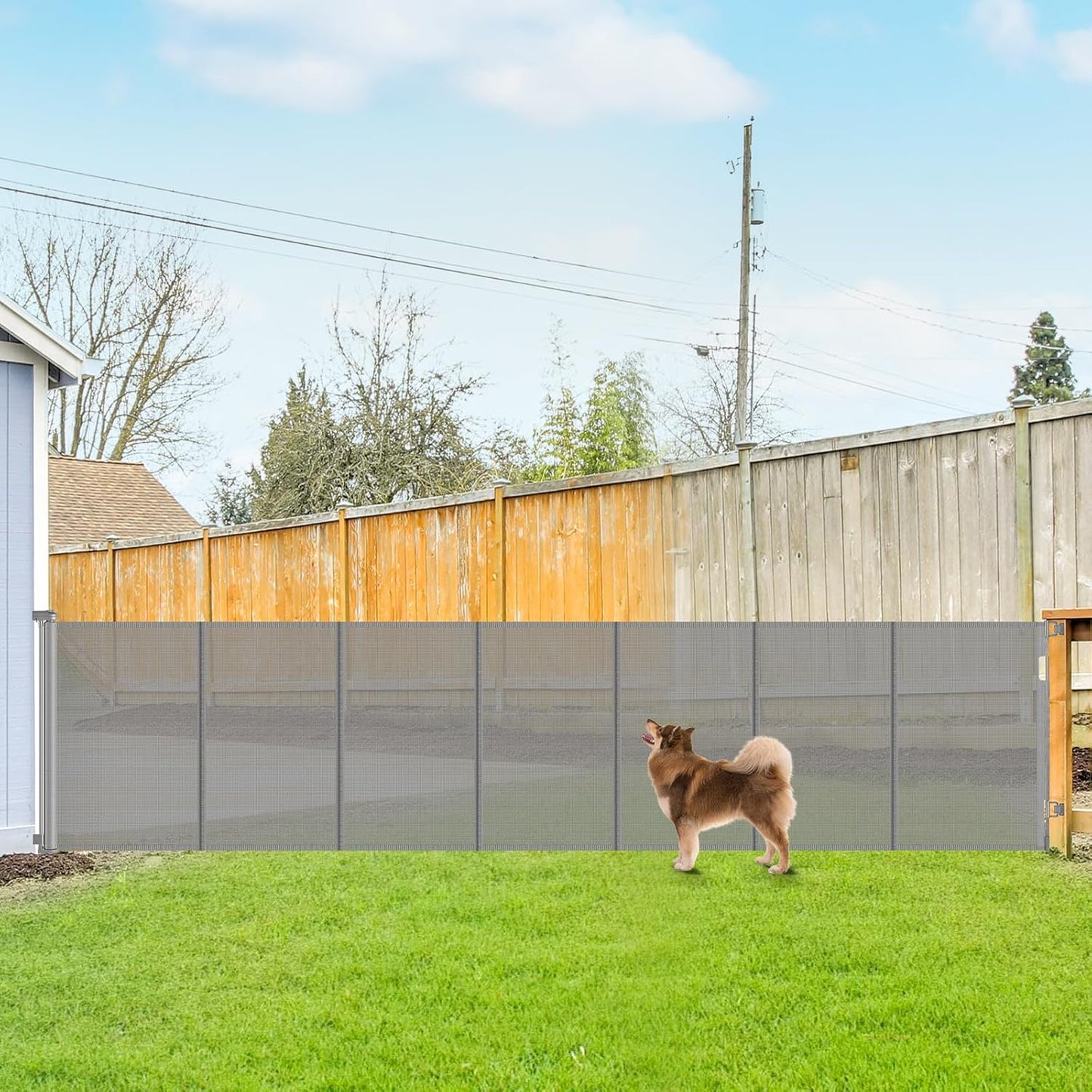 Reinforced Extra Tall Pet Gate for Dogs - 42in High, 155in Wide
