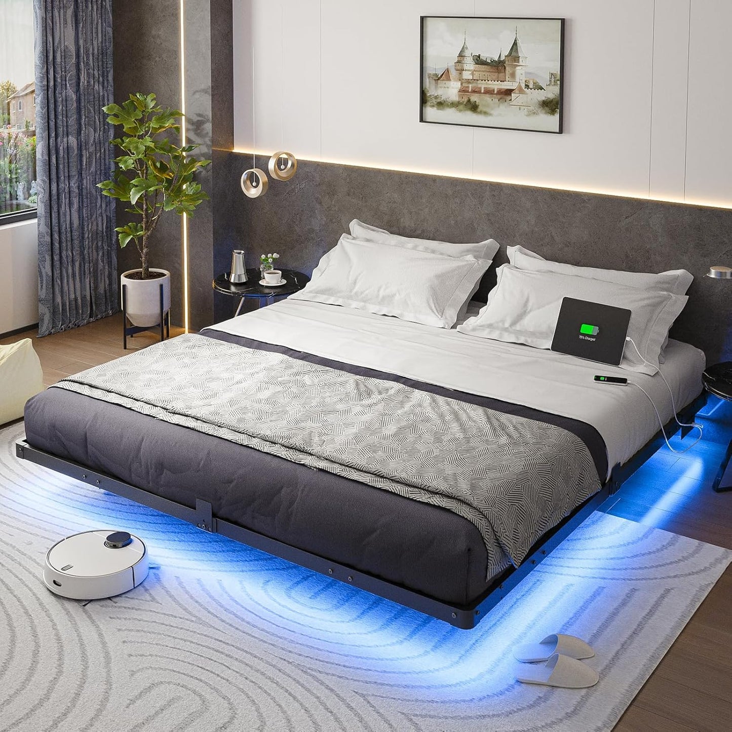 Liians King Size Floating Bed Frame with LED Lights