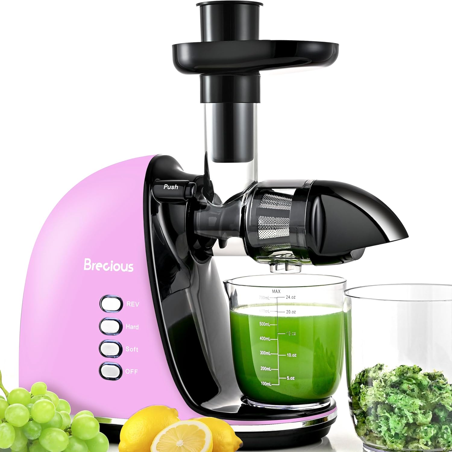 Brecious Slow Masticating Juicer - Quiet, 2 Speeds