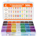 Car Fuse Assortment Kit 300pcs - Complete Automotive Blade Fuse Set