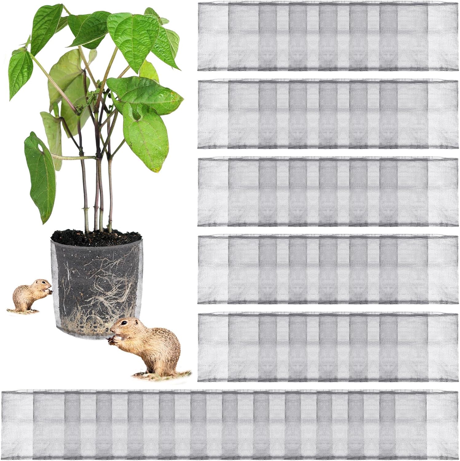 80 Pcs Gopher and Vole Wire Mesh Basket for Plant Protection