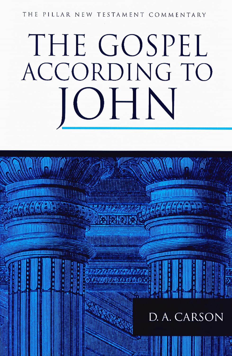 The Gospel according to John: Insightful Commentary by D. A. Carson