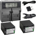 Kastar LCD Dual Smart Fast Charger & 2 Batteries for Sony FV100/FH100