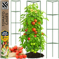 Tomato Cage Sturdy Large 63in Trellis Stakes - Stable Triangle Support