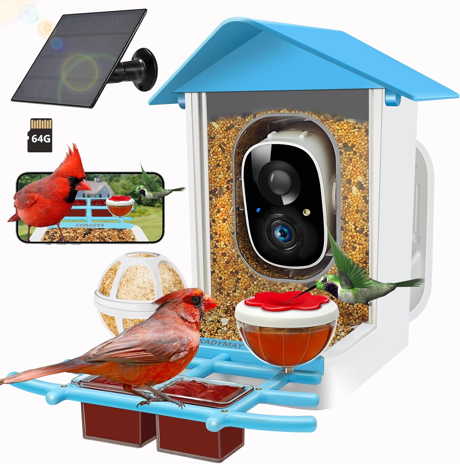 Smart Solar Bird Feeder: AI Identify Birds, Live HD Video, 64GB Storage