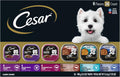 Cesar Wet Dog Food Variety Pack 36 Count - Gourmet Trays for Adults