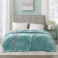 Heated Plush Electric Blanket Twin - Soft Microlight Plush, 20 Heat