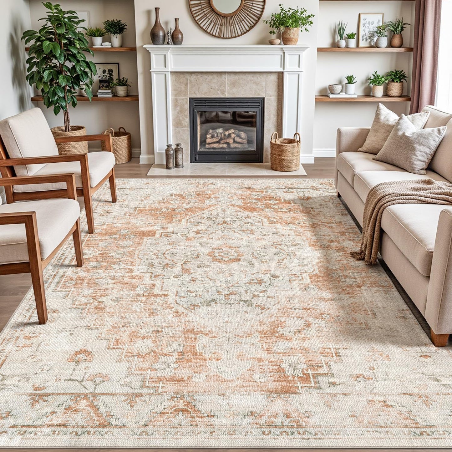 DEXI Area Rugs for Living Room - Vintage Traditional Design