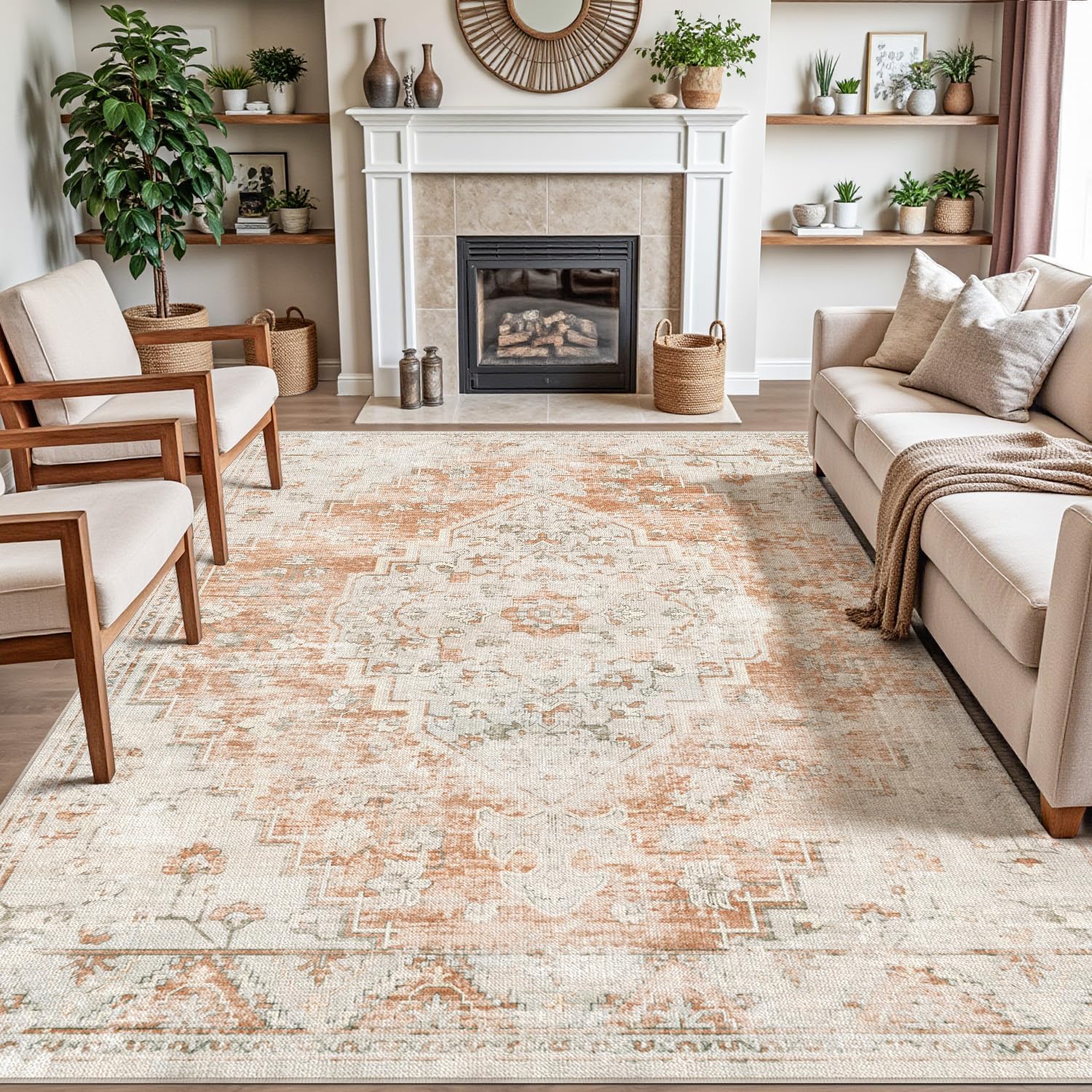 DEXI Area Rugs for Living Room - Vintage Traditional Design