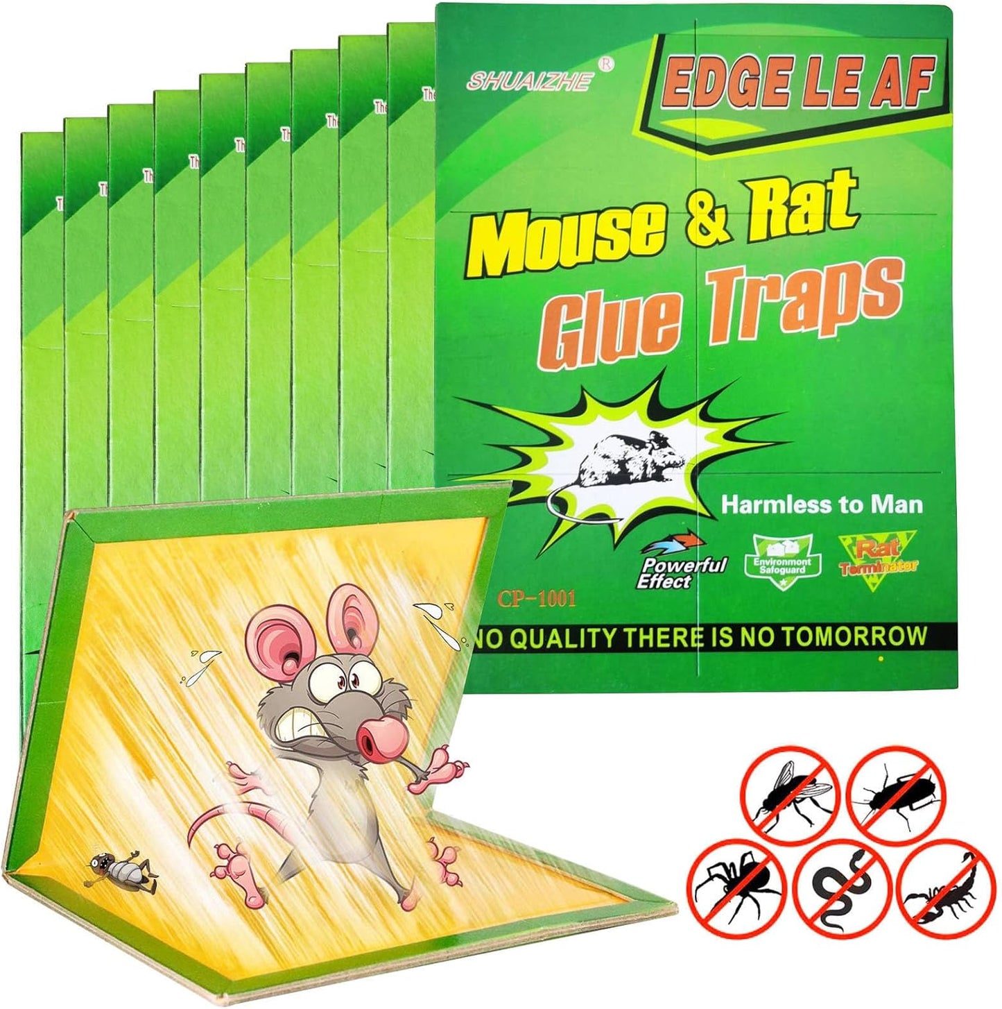 10 Pack Enhanced Stickiness Mouse Glue Traps