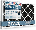BNX TruFilter 16x25x1 MERV 12 Odor Defense Air Filters